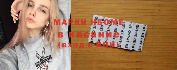 бошки Алексин
