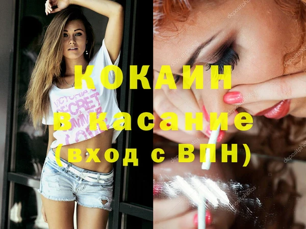 бошки Алексин