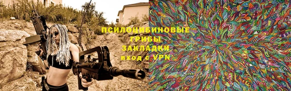 бошки Алексин