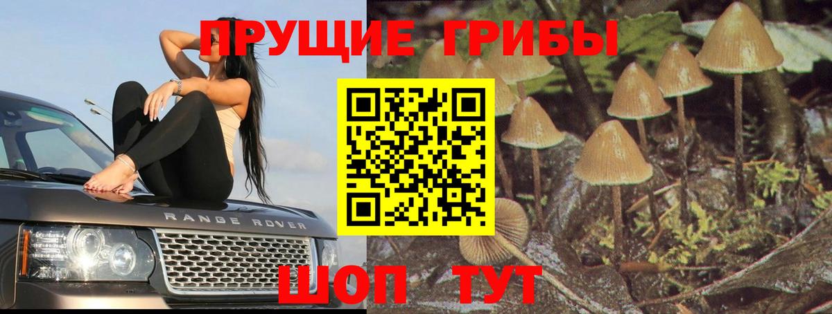 Галлюциногенные грибы мицелий Краснокамск