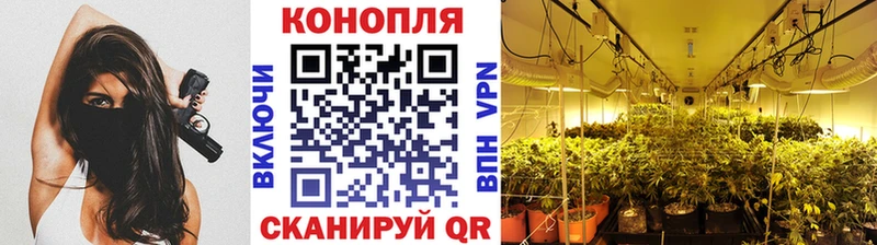 Бошки Шишки THC 21%  Краснокамск 